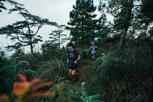 BIB: 
                            <button type="button" onclick="openModal(25260720)" class="btn btn-primary btn-sm float-right btn-popup" data-toggle="modal" data-target=".modal-high-quality">
                        <i class="fas fa-shopping-cart"></i> Add to Cart
                    </button>
                                            <button type="button" onclick="isThisMe(25260720, true)" class="btn btn-success btn-sm float-right btn-popup btn-isme hidden" data-toggle="tooltip" data-placement="bottom" title="นี่คือรูปของคุณใช่ไหม คลิกที่นี่เพื่อเอาเข้าอัลบั้ม">
                        <i class="fas fa-plus"></i> Add to album
                    </button>
                    <button type="button" onclick="isThisMe(25260720, false)" class="btn btn-warning btn-sm float-right btn-popup btn-isnotme hidden">
                        <i class="fas fa-ban"></i> Remove from album
                    </button>